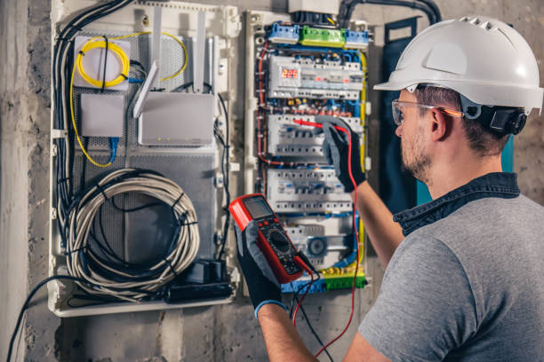 Best Electric Panel Repair  in Rice, MN