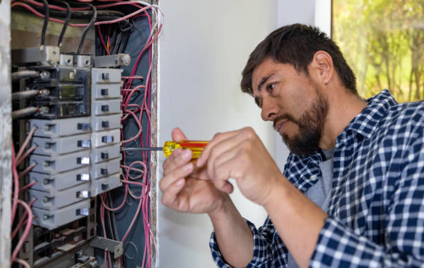 Best Ceiling Fan Installation Electrician  in Rice, MN